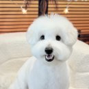 메종VIP203 이미지