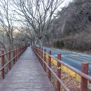 치악산둘레길 3코스 수레너미길 | 치악산 둘레길 3코스 ‘수레너미길’ 왕의 발자취를 따라 걷는 숲길