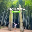 철마면 경로식당 | 부산 기장 아홉산숲 대나무 사이로 걷는 힐링 산책 후기