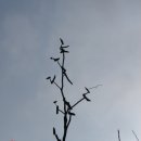 장승농장 이미지