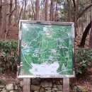 대신공원 숲길 이미지