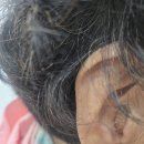 행복보청기 이미지