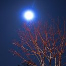 구름속 보름달 이미지