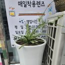 화초포차 이미지