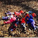 큰빛자연생태어린이집 이미지