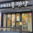 메리몰펫샵(사직점) 이미지