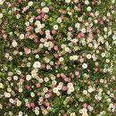 제주혁이네해장국 이미지