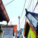 새마을길 이미지