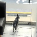 서02-402 | 민생회복지원금 가능, 헤어컨설팅 전문 해방촌 미용실! 라임헤어라이프 C컬펌 후기