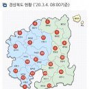 총 확진자수 291명인 도시 전일대비 62명 증가 대구청도아님 이미지