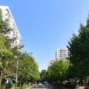 주공15단지 아파트 일원 이미지