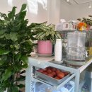 카페 알로 (cafe ALO) 이미지