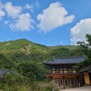 하늘빛계곡 야영장 이미지