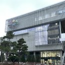 원정수영)서울숲복합문화체육센터 수영장 자유수영 주말수영 후기