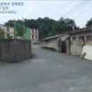 전주대성초등학교 이미지