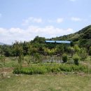 시례농장 이미지