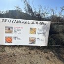 거양길 이미지