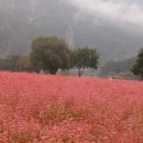 삼옥2리마을회관 이미지