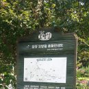 각화초교 이미지