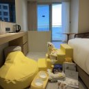 속초애견 더 이쁘개 | 속초 애견동반 숙소, 펫어메니티 가득 강아지동반 호텔 카시아