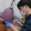 맵시코이 네이버블로그