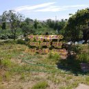 남이천공인중개사사무소 이미지