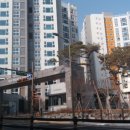 서신아트