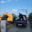 거성농장 이미지