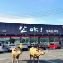 모악산 소야 이미지