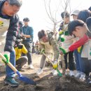 세미로 이미지