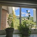 보리지역아동센터 이미지