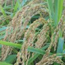 양심부동산중개 이미지