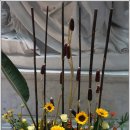 분당요한성당 이미지