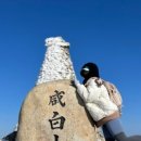 장터 옛날통닭(죽변점) 이미지