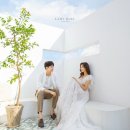 달콤레이디