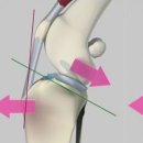 행신동물의료센터 이미지