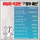 예산 삭감 내용 - 귀화면접심사 이미지