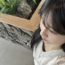 유림-1101 | 11월 거의 마지막