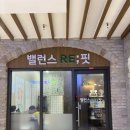 약손간병 이미지