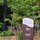 [제주도 전시] 제주도립 김창열 미술관