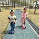 N파크 | 대구 피크닉 장소 수성패밀리파크 n번째 방문 찐 후기(매점, 주차, 준비물, 자리 선정 꿀팁)