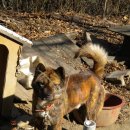 산골자전거 이미지