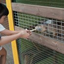 우촌농장 이미지