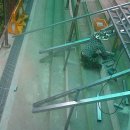 대경중학교 이미지