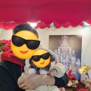 소사분식 | [부천] 아임분식 매운어묵김밥 맛집 부천스타필드 분식맛집 (내돈내산)