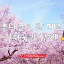 동화카모터스 이미지