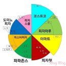 에스엔알