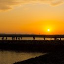 고암농장 이미지