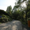 장태산자연휴양림 캠핑장 이미지