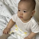 상화원 한국빌라 네이버블로그